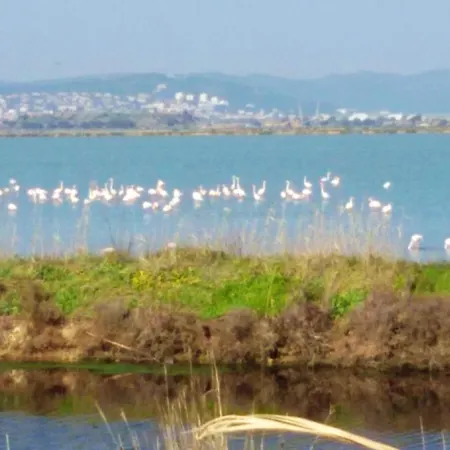 Confortable à Avec Terrasse Et Jardin – 20 M² Hyères